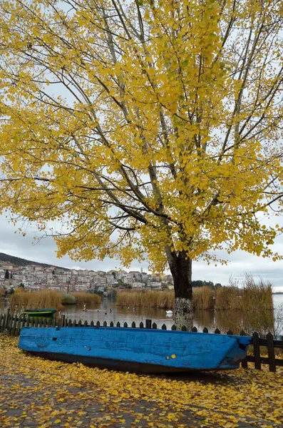 秋天的景色带着黄色的秋天 树上留下了一条蓝色的木船和作为背景的湖泊和希腊的卡斯托利亚小镇 — 图库照片