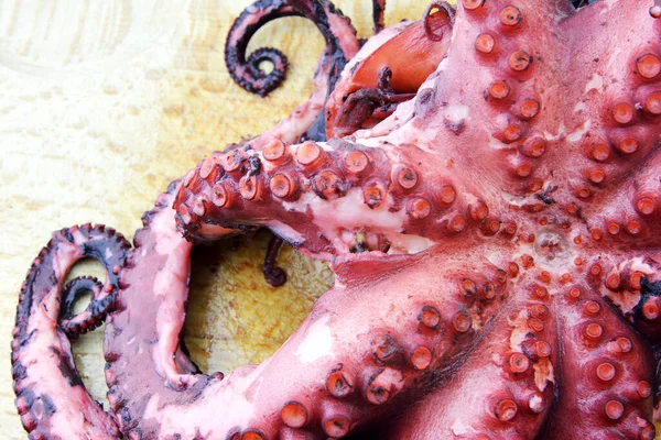 Gekookte Octopus Een Houten Plank — Stockfoto