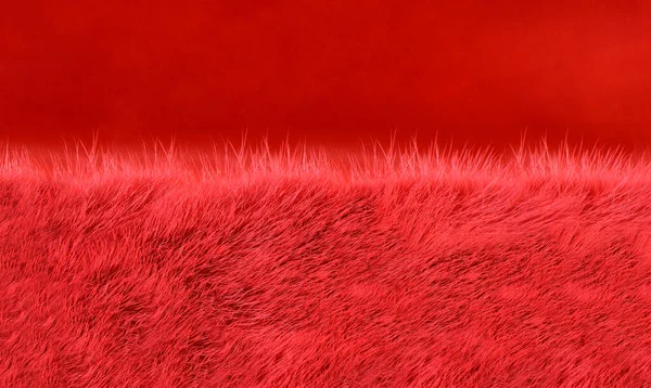 Красный Мех Ткань Фона — стоковое фото