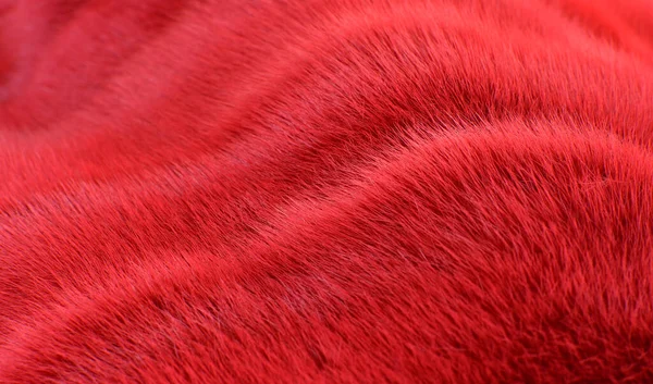 Красный Волнистый Мех Текстуры Backgroun — стоковое фото