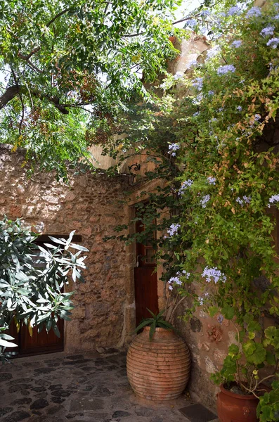 Stone House Tree Plants Monemvasia — Stock Photo, Image