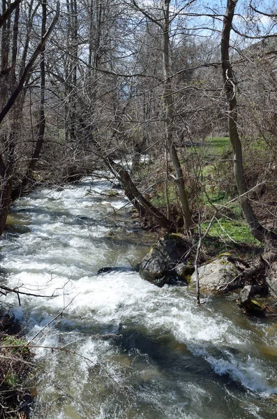 Agios Germanos Nehri, Yunan Prespa 'sındaki en büyük nehirdir ve Büyük Prespa' ya dökülür..