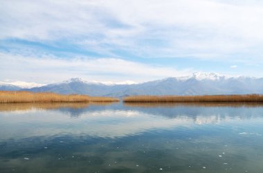 Yunanistan 'ın Küçük Prespa gölündeki erken bahar gölü manzarası