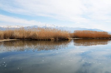 Yunanistan 'ın Küçük Prespa Gölü' ndeki erken bahar gölü manzarası