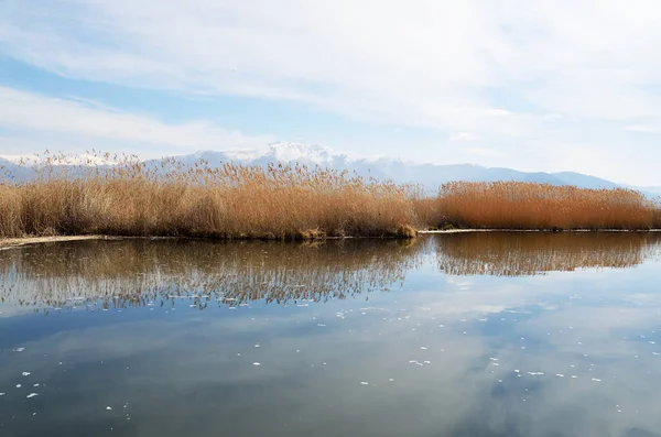 Yunanistan 'ın Küçük Prespa Gölü' ndeki erken bahar gölü manzarası