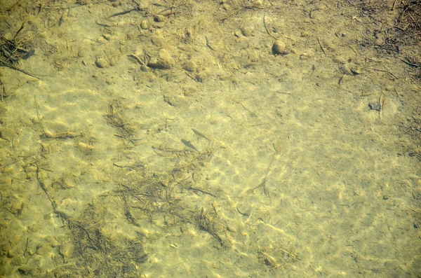 Sauberes Flusswasser Und Fische Beim Schwimmen — Stockfoto