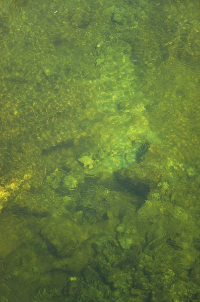 Fluss Transparentes Wasser Mit Sichtbarem Steinigen Grund Als Abstrakter Hintergrund — Stockfoto