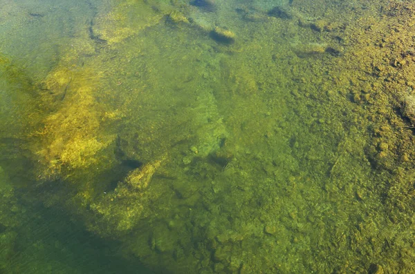 Fluss Transparentes Wasser Mit Sichtbarem Steinigen Grund Als Abstrakter Hintergrund — Stockfoto