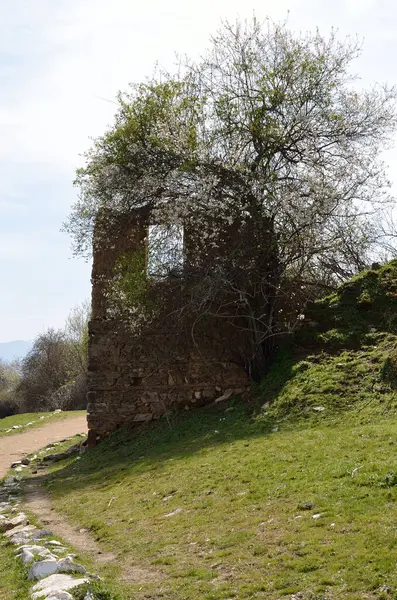Ruinas Casa Agios Achilios Pequeño Prespes —  Fotos de Stock