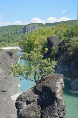 Venetikos nehrindeki bir kayanın üzerindeki ağaç.