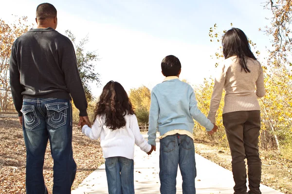 Visão traseira de uma família de mãos dadas e caminhando . — Fotografia de Stock