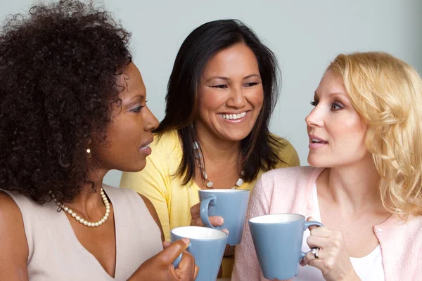 Diverso grupo de mujeres hablando y tomando café . —  Fotos de Stock