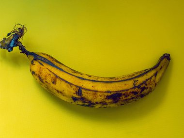 Bekar, olgun muz ve sarı bir arka plan. Sarı Dominik muz