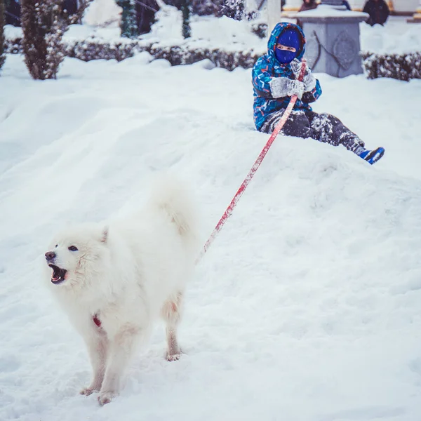 Küçük çocuk durit köpek tasmalı