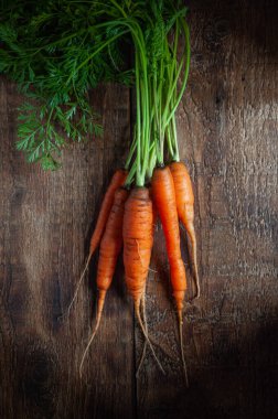 Koyu ahşap arka planda tepeleri olan taze çiftlik havuçları.