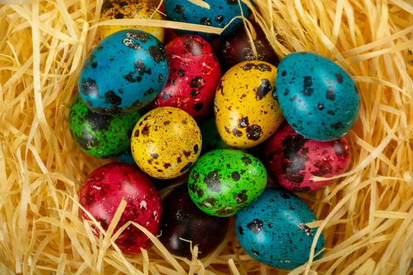 Πασχαλινά αυγά στη φωλιά — Φωτογραφία Αρχείου