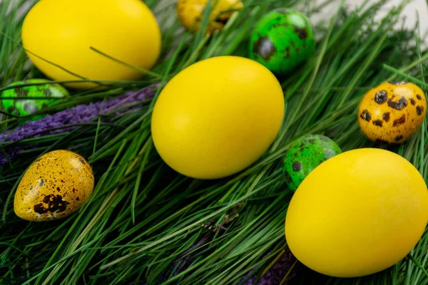 Πασχαλινά αυγά στο ψεύτικο γρασίδι — Φωτογραφία Αρχείου