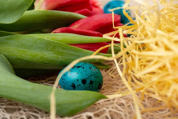 Πασχαλινά αυγά στη φωλιά — Φωτογραφία Αρχείου