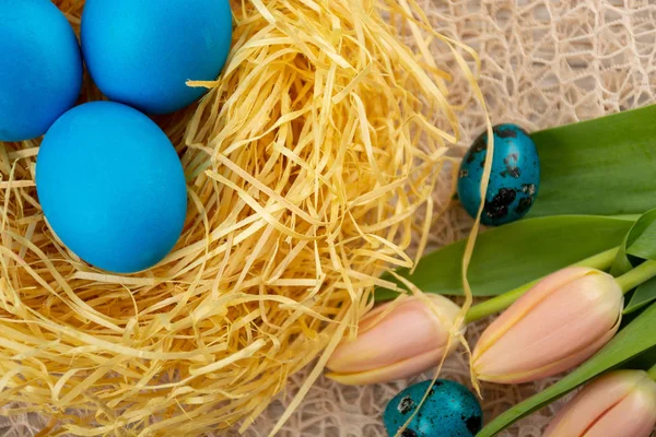 Paaseieren in het nest Rechtenvrije Stockfoto's