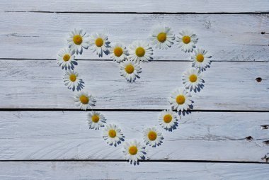 Papatya kalbi beyaz şarap masasında