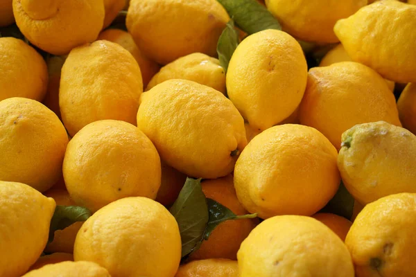 İtalya 'daki çiftçi pazarında amalfi limonları