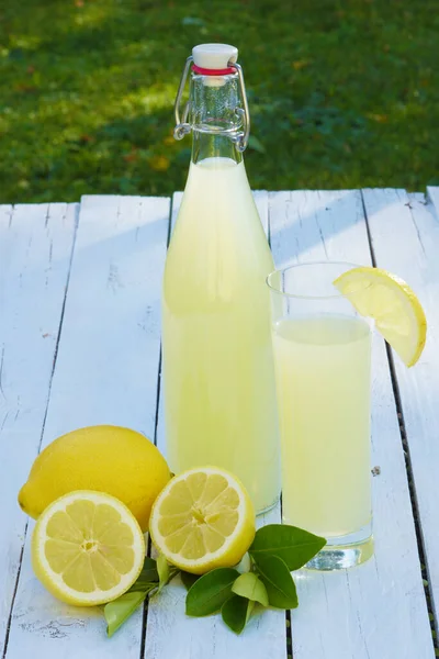 Fresh Fruity Homemade Lemonade — Stock Photo, Image