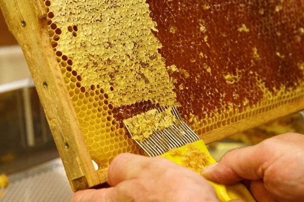 Расстегивание Сотов Посещение Пчеловода — стоковое фото