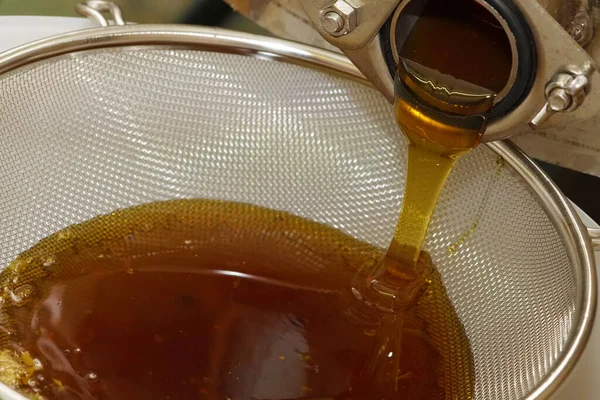 Honig Fließt Aus Dem Honigabscheider — Stockfoto