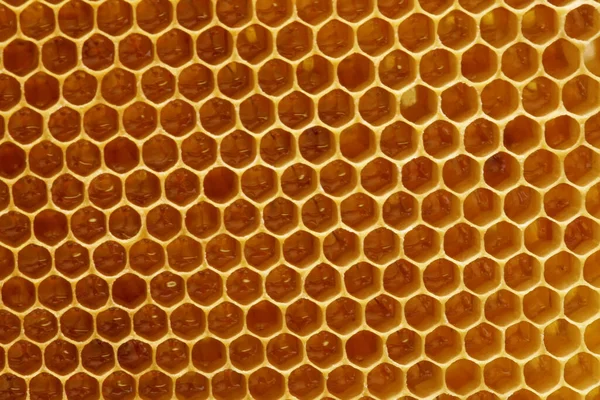 蜂蜜と一緒にそれに蜂蜜 ストックフォト