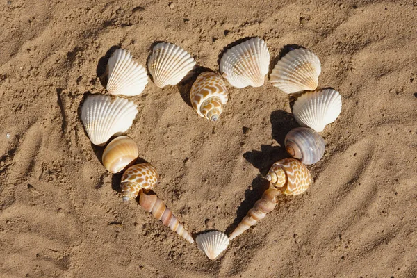 Маленькое Сердце Ракушек Пляже — стоковое фото