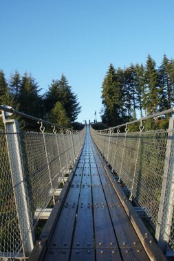 Geierlay asma halat köprüsü