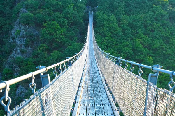 Geierlay suspension rope bridge