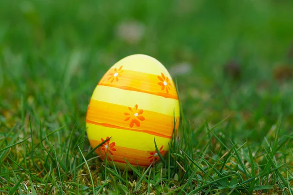 Huevo Pascua Solitario Jardín —  Fotos de Stock
