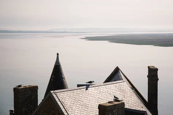 Mont Saint Michel manzarası Martılarla Normandiya, Fransa 'da.
