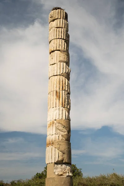 Artemis Tapınağı 'nın eşsiz sütunu. Antik dünyanın yedi harikasından birinin kalıntıları. Efes, İzmir, Türkiye