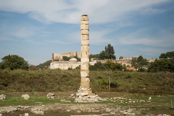 Artemis Tapınağı 'nın eşsiz sütunu. Antik dünyanın yedi harikasından birinin kalıntıları. Efes, İzmir, Türkiye