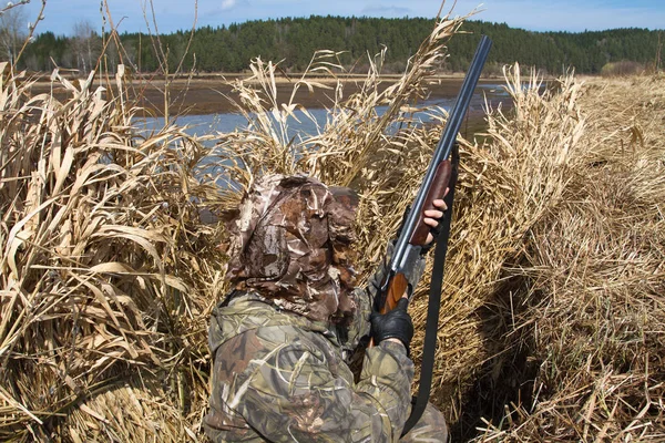 duck hunter hid in a hunting blind of reeds