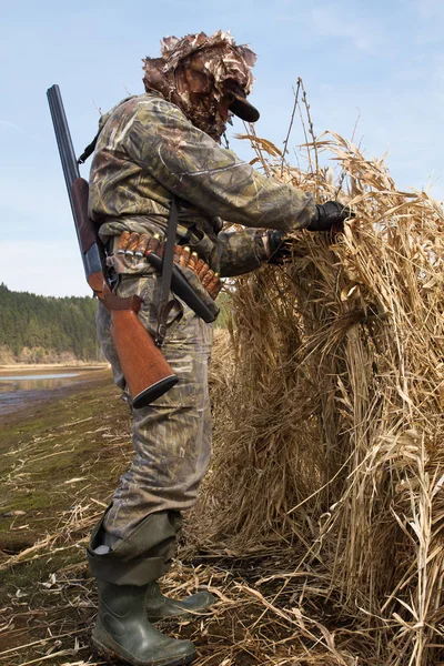 duck hunter makes a hunting blind of reeds