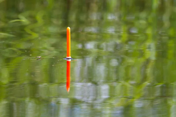 the tip of the fishing float sits vertically in the water of the