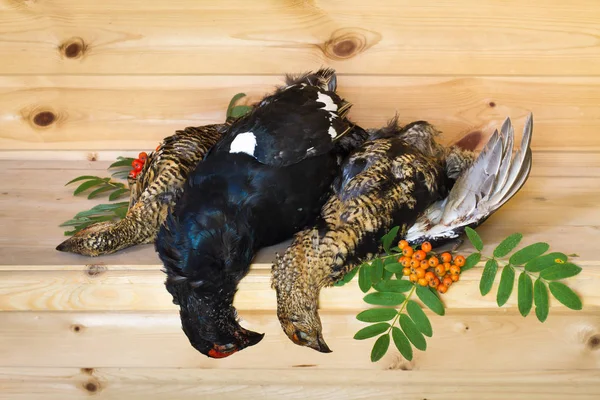 Downed grouses lie on a wooden table — Stock Image Downed grouses lie on a wooden table Royalty Free Stock Photos