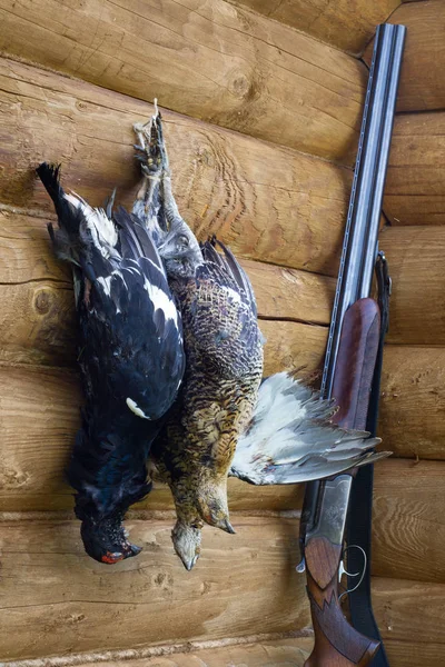 The shotgun and three downed grouses — Stock Image The shotgun and three downed grouses Stock Photo