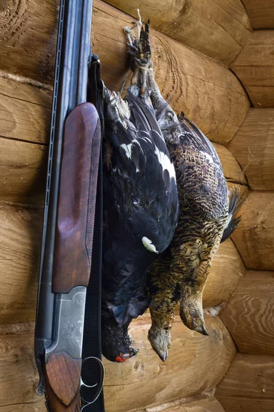 Shotgun and downed three grouses on a timbered wall — Stock Image Shotgun and downed three grouses on a timbered wall Royalty Free Stock Images