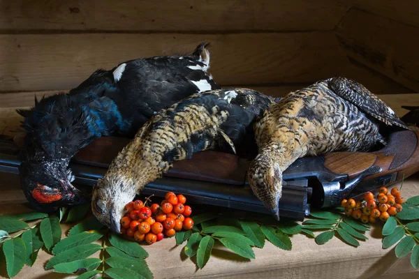 Three downed blackcocks and Rowan berries lie on a wooden table — Stock Image Three downed blackcocks and Rowan berries lie on a wooden table Stock Image