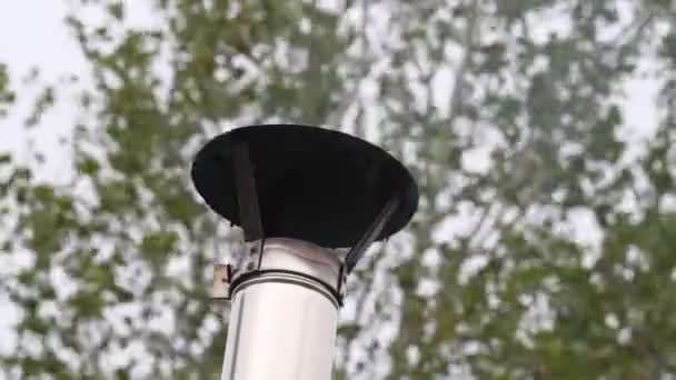 Hot smoke escapes from a tin pipe against the background of trees swaying in the wind — Stock Footage Hot Smoke Escapes Tin Pipe Background Trees Swaying Wind Video Clip