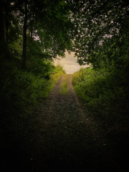 Caminho Que Leva Floresta Perthshire Escócia — Fotografia de Stock