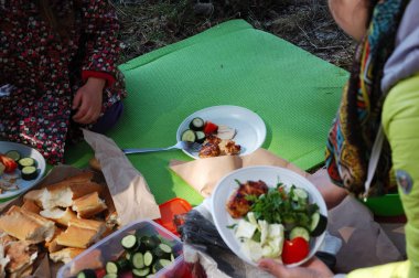İnsanlar piknik üzerinde gıda plakaları - yukarıdan görünüm koymak.