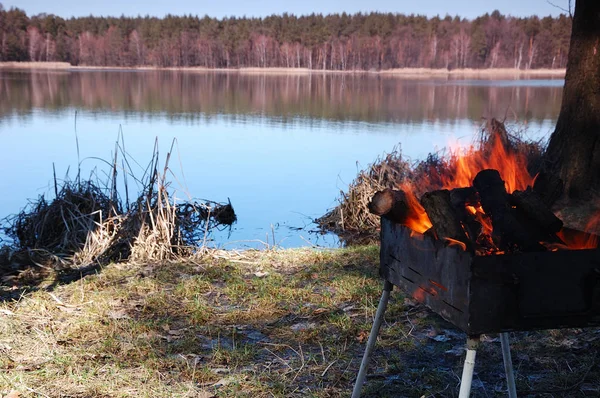 Het Vuur Brandt Grill Tegen Achtergrond Van Een Prachtig Meer — Stockfoto