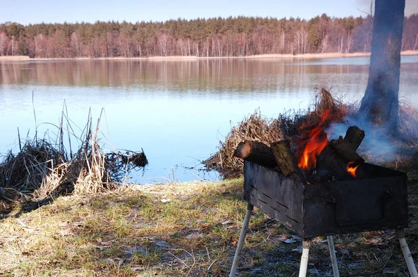 Fogo Queima Grelha Contra Pano Fundo Belo Lago — Fotografia de Stock