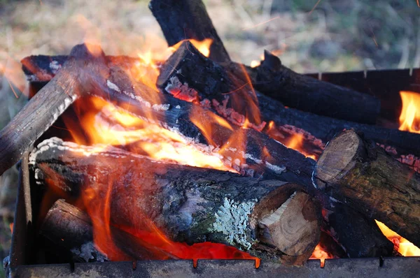 Quemaduras Fuego Parrilla Naturaleza — Foto de Stock