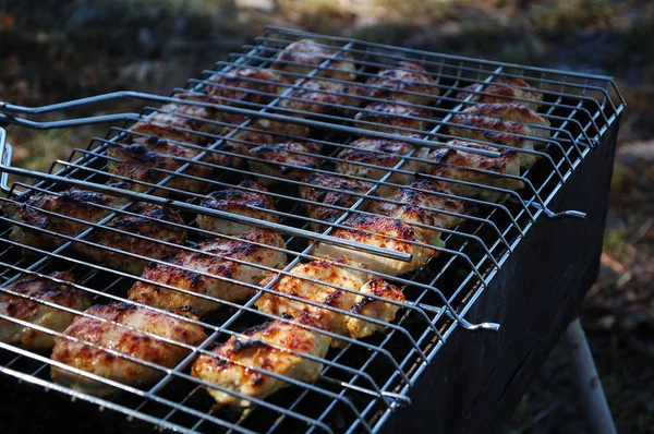 Carne Pollo Grigliata Sulla Natura — Foto Stock